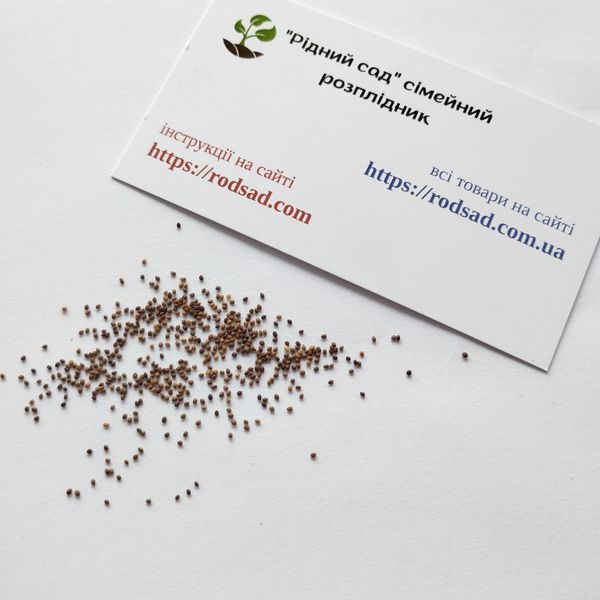 Майоран Гурман семена 0,15 г (прибл 900 шт) (Origanum majorana) RS-00847 фото