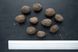 Горіх Зібольда айлантолистий насіння 10 шт RS-00102 фото 3