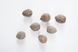 Орех Зибольда айлантолистный семена 10 шт RS-00102 фото 1