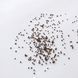 Мак восточный Султан семена 0,1 г (прибл 400 шт) декоративный садовый (Papaver orientale) RS-01213 фото 6