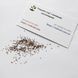 Майоран Гурман семена 0,15 г (прибл 900 шт) (Origanum majorana) RS-00847 фото 7