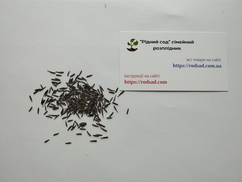 Кервель французская петрушка семена 0,2 гр. (около 100 штук) (Anthriscus cerefolium) бугиля огородная RS-01308 фото