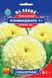 Чорнобривці Кіліманджаро F1 білі насіння (0,1 г), Collection, TM GL Seeds RS-01164 фото 1