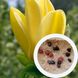 Магнолия бруклинская "Yellow Bird" семена (10 шт) (Magnolia brooklynensis) желтая морозостойкая RS-00653 фото 1