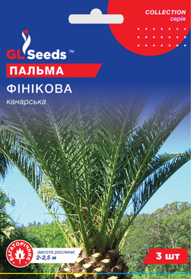 Пальма Канарская финиковая семена (3 шт) Collection, TM GL Seeds RS-01314 фото