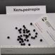 Кельрейтерія метельчата насіння (10 шт) (Koelreuteria paniculata) RS-00681 фото 4