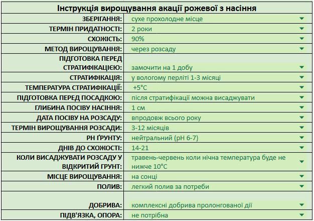Акація рожева насіння (10 шт) робінія щетиниста (Rob&iacute;nia h&iacute;spida) азотфіксатор медонос RS-02180 фото