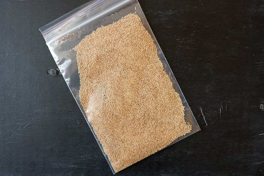 Амарант сорт "Ультра" насіння 10 грам (близько 5 000 штук) зерно на посадку ранньостиглий RS-00717 фото