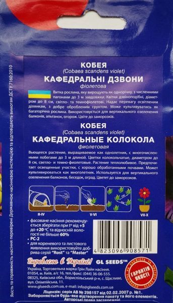 Кобея Кафедральні дзвони насіння (4 шт), For Hobby, TM GL Seeds RS-01192 фото