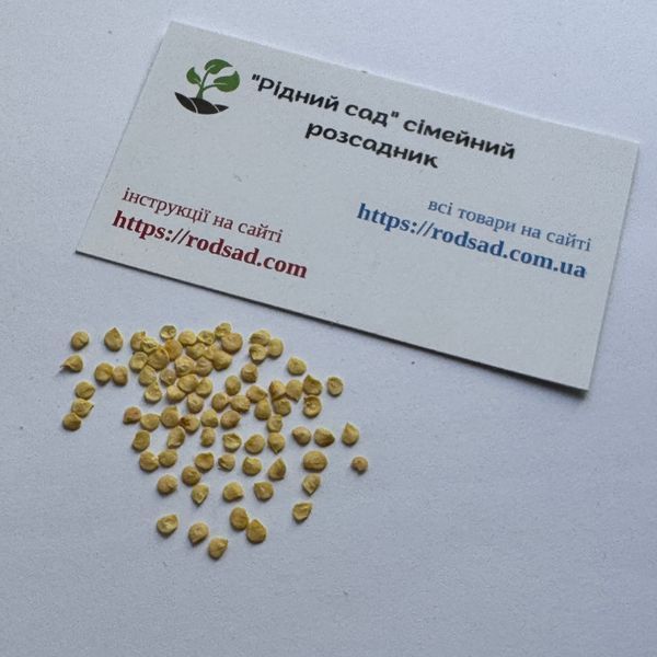 Перец острый Jalapeno Moroccan семена (5 шт) Халапеньйо марокканский черный до 8 000 SHU RS-02160 фото