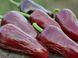 Перец острый Jalapeno Moroccan семена (5 шт) Халапеньйо марокканский черный до 8 000 SHU RS-02160 фото 2