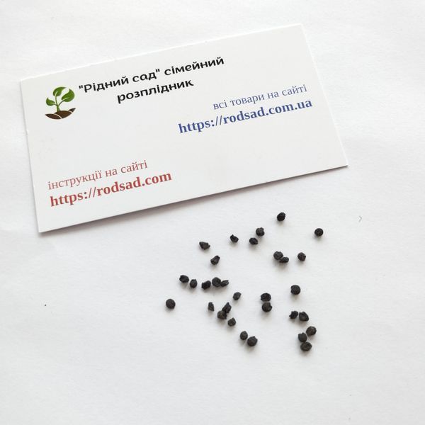 Черемша семена 0,1 г (прибл 10 шт) дикий медвежий чеснок (Allium ursinum) RS-00854 фото