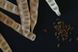 Альбиция семена (10 шт) ленкоранская акация мимоза шелковая (Albizia julibrissin) RS-00028 фото 4