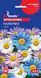 Насіння Брахікома Палермо (0,2 г), For Hobby, TM GL Seeds RS-01041 фото 1