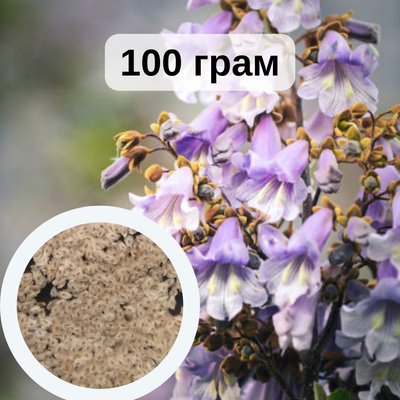 Павловния войлочная семена 100 грамм (около 400 000 шт) для саженцев RS-00738 фото