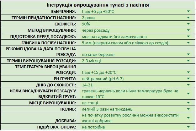 Туласи семена 0,05 гр. (прибл. 50 шт) индийский священный базилик (Ocimum sanctum) василек тонкоцветный RS-02189 фото