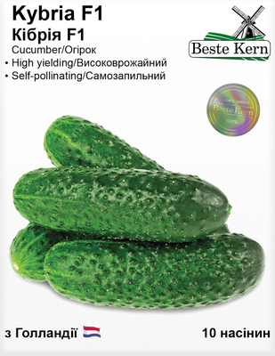 Огірок Кібрія F1 насіння (10 шт) партенокарпік корнішон Kybria середньоранній Голландія, Beste Kern, TM GL Seeds RS-02038 фото
