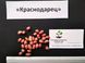 Арахіс сорт Краснодарець насіння (20 шт) земляний горіх для посадки RS-00051 фото 2