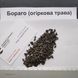 Бораго семена 1 грамм (около 50 шт) огуречная трава огуречник (Borago officinalis) RS-00604 фото 2
