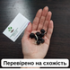 Чекалкін горіх насіння (10 шт) ксантоцерас жовторіг горобинолистий (Xanthoceras) RS-00135 фото 4