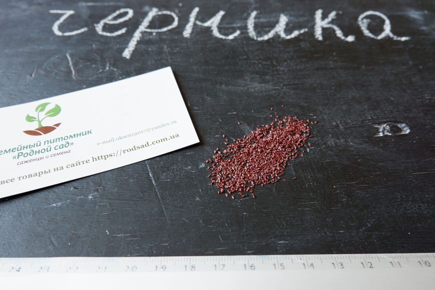 Черника семена (20 шт) миртолистная обыкновенная европейская голубика (Vaccenium myrtillus) RS-00033 фото