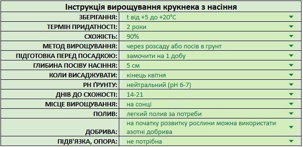 Крукнек насіння (10 шт) гарбуз-кабачок літній сквош жовтий