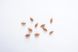 Зизифус унаби семена (10 шт) китайский финик ююба (Ziziphus jujuba) морозостойкий RS-00035 фото 2