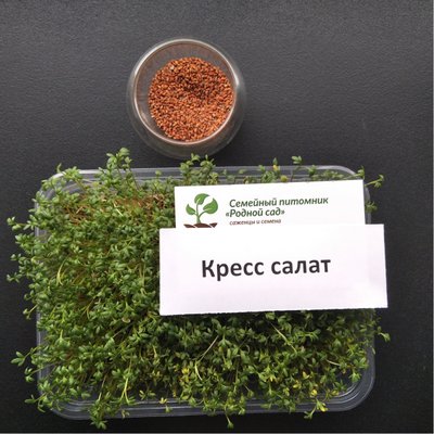 Кресс салат насіння для мікрозелені (5 грамів) RS-00517 фото
