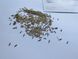 Одуванчик обыкновенный семена 1 грамм (около 2000 шт) (Taraxacum officinale) RS-01286 фото 4