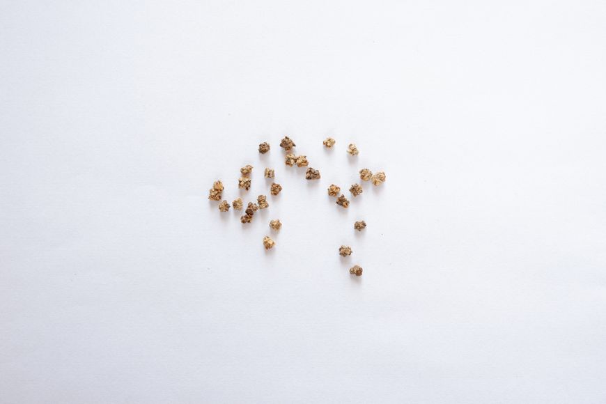 Мангольд семена 2 грамма (около 100 штук) листовая свекла на посадку RS-00160 фото