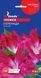 Ипомея Серенада семена (5 шт), For Hobby, TM GL Seeds RS-01179 фото 1
