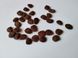 Хурма виргинская семена (10 шт) американская (Diospyros virginiana) морозостойкая RS-00036 фото 3