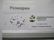Розмарин семена 0,1 г (около 40 шт) (Rosmar&iacute;nus officin&aacute;lis) RS-00038 фото 5