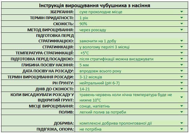 Жасмін садовий насіння 5 коробочок (прибл. 700 шт) чубушник звичайний (Philadelphus coronarius)