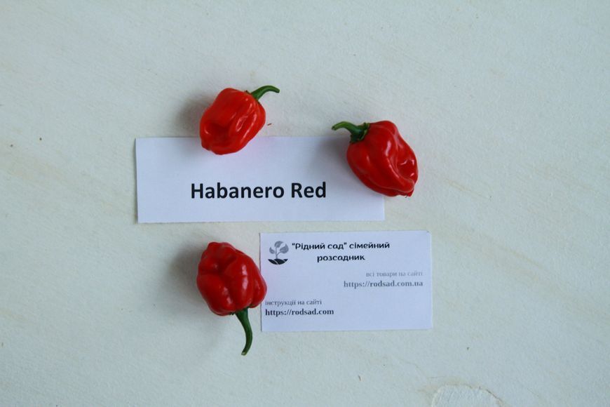 Перець Хабанеро червоний насіння 0,25 гр. (прибл 50 шт) гострий (Habanero red) до 350 000 SHU RS-00655 фото