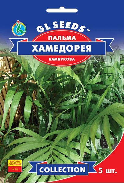 Пальма бамбукова Хамедорея насіння (5 шт), Collection, TM GL Seeds RS-01140 фото