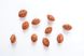 Персик поздний (сентябрь) семена 10 шт RS-00145 фото 4