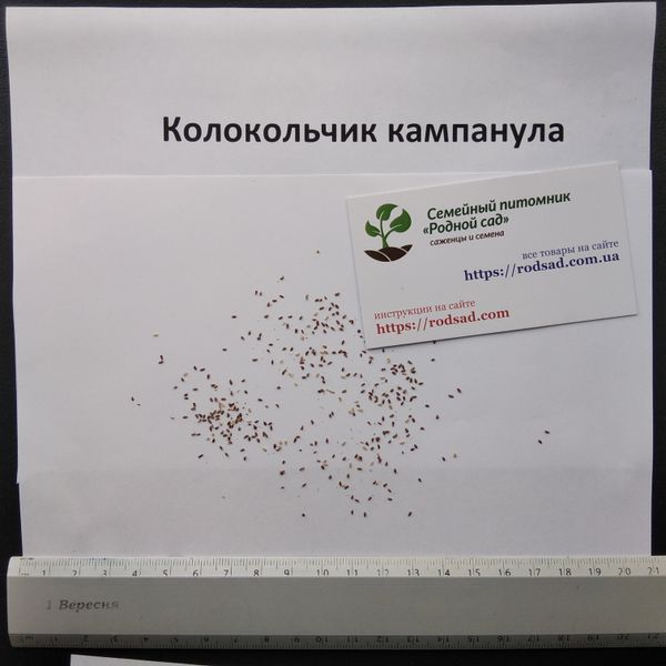 Дзвоники насіння 0,15 грами (прибл. 400 шт) дзвіночки кампанула Кентерберійські дзвони (Campanula medium) дворічні RS-00497 фото