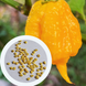 Перец острый Carolina Reaper Yellow семена (5 шт) Каролина Рипер каролинский жнец желтый чили суперхот до 2 200 000&nbsp;SHU RS-02162 фото 1