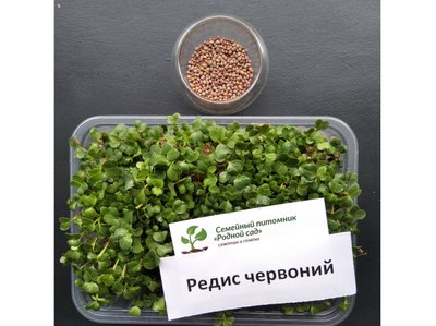 Редис червоний насіння для мікрозелені (10 грамів) RS-00513 фото