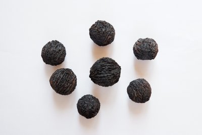 Орех Чёрный семена 10 шт RS-00070 фото