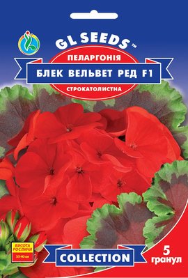 Пеларгонія Блек Вельвет Ред F1 насіння (5 шт), Collection, TM GL Seeds RS-01143 фото