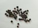 Ялівець звичайний насіння 10 грамів (прибл. 90 шт) (Juniperus communis) RS-01289 фото 3