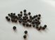 Ялівець звичайний насіння 10 грамів (прибл. 90 шт) (Juniperus communis) RS-01289 фото 2