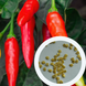 Перец острый Tabasco семена (5 шт) Табаско красный чили суперхот до 50 000&nbsp;SHU RS-02165 фото 1