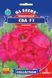 Пеларгонія Єва Малинова F1 насіння (5 шт) герань калачики, Collection, TM GL Seeds RS-01144 фото 1