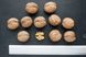 Орех грецкий сорт Кочерженко семена (10 шт) калибр 30-40 мм RS-00292 фото 1
