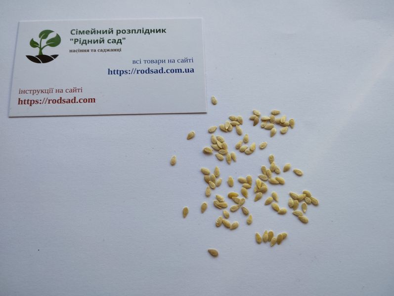 Мелотрія шершава насіння (10 шт) кукамелон (Melothria scabra) мексиканський мініатюрний кавун RS-01292 фото