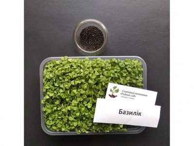 Базилік фіолетовий насіння для мікрозелені (5 грамів) RS-00522 фото
