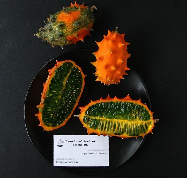 Кивано семена (10 шт) огурец африканский (Cucumis metulifer) дыня рогатая RS-01293 фото